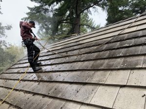 roof cleaning